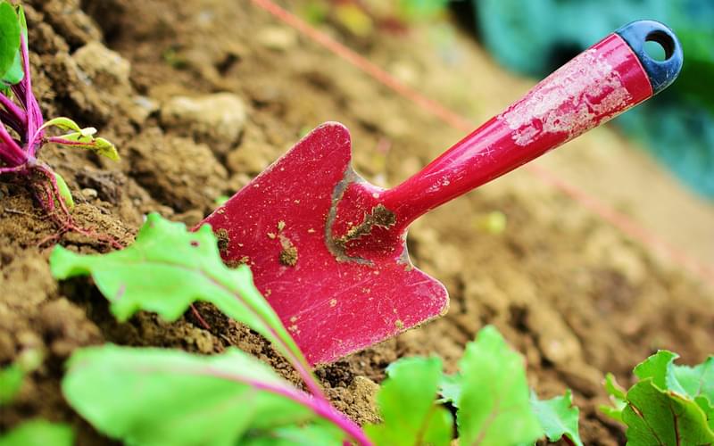 Agriculture is no more about soil and climate