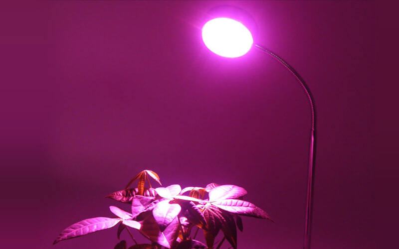 About hydroponic lighting